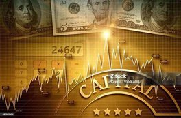 Cuenta de Capital de Aportación (CUCA)